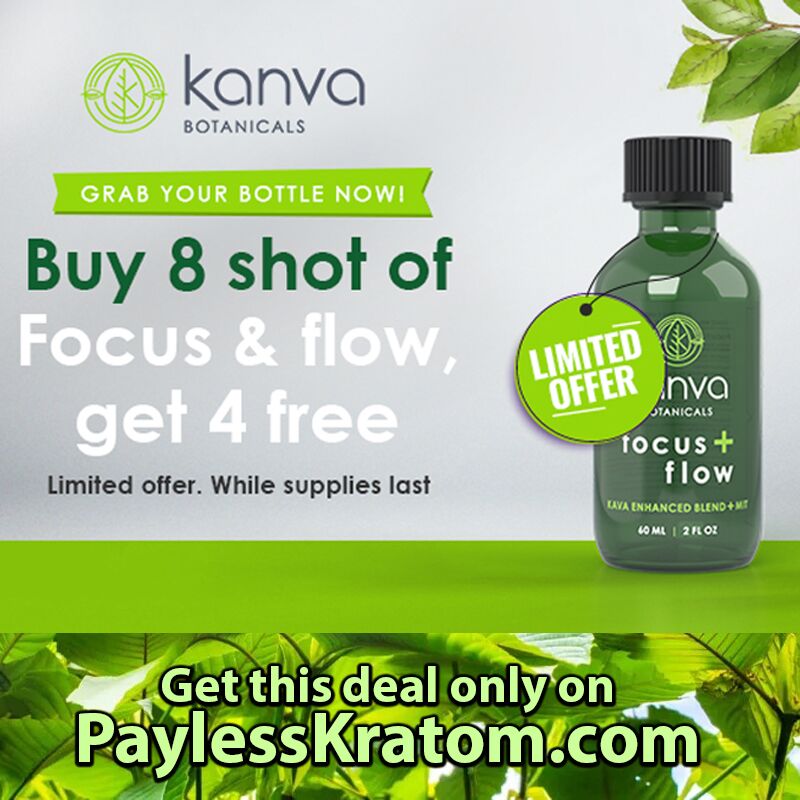 Kanva Focus and Flow Exclusive Deal | Image 1 | Kanva Focus and Flow Exclusive Deal
